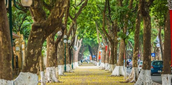 3 walking tours of Hanoi